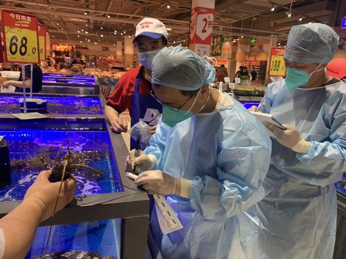 浙江首批菜场三文鱼样品检测结果出炉 零售食用农产品安全状况引关注