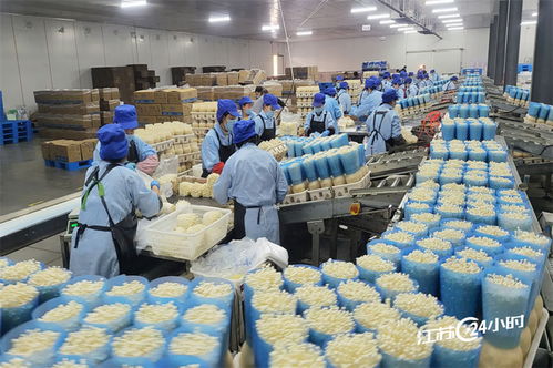 从工厂到餐桌 工厂化种植食用菌引领农产品零售新变革