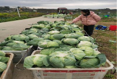 食用农产品零售市场新观察 品质、渠道与消费趋势的嬗变